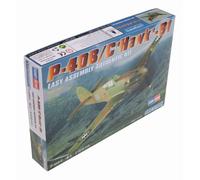 Modello in plastica P-40 HAWK