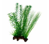 Hobby Flora Root 2 - L, 30 cm