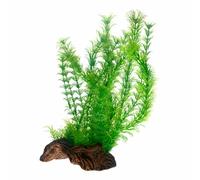 Hobby Flora Root 3 L 30 CM Piante D'Acqua Radice Decorazione Pianta da Acquario
