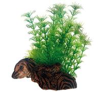 Hobby Flora Root 3 S 51597 - Riproduzione di radici con piante artificiali