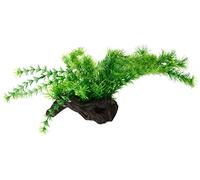 Hobby Flora Root 3L - Pianta per Acquopfilia 30 cm