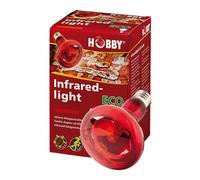 Hobby Infraredlight Eco Lampada Alogena ad Infrarossi 70W Calda Nachtaktive Tier