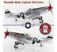 Hobby Master 1/48 HA7750 P-51D Mustang USAAF 335th FS, Thunder Bird, Ted Lines