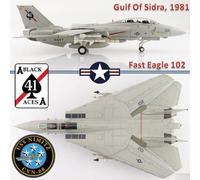 Hobby Master 1/72 F-14A Tomcat USN VF-41 Black Aces, Fast Eagle 102, USS Nimitz