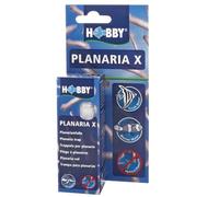 Hobby Planaria X