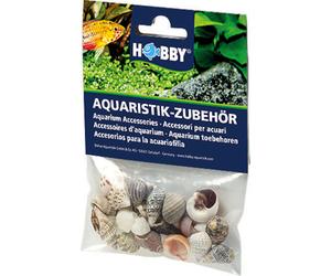 Hobby Sea Shells Set - Piccolo