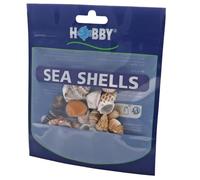 Hobby, Set di Conchiglie di Mare