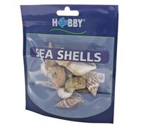 Hobby, Set di Conchiglie di Mare