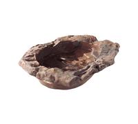 Hobby Terrapond, Piccolo, 22x5x15 CM - Bere E Bagno Ciotola Rettili Terrario