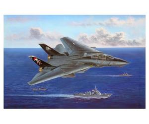 Hobbyboss 1:48 - F-14B Tomcat - HBB80367