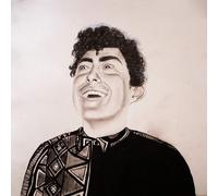 Hobo Johnson The Rise of Hobo Johnson (Vinyl LP)