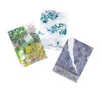 Hobonichi Techo Accessories iyo okumi: Hobonichi - Set di 3 cartelle trasparenti per formato A6 (iyo okumi)