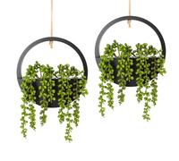 Hobyhoon Pianta grassa artificiale, filo di perle finte, 30 cm, in vaso di legno, decorazione da parete per interni ed esterni (nero, 2 pezzi)