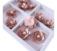 HOCEDO 10 Pezzi Paillettes Color Champagne Fiore in Rilievo Toppe da Cucire per Abbigliamento Applique Perline per Orecchini Calzini Fai da Te Borse Scarpe