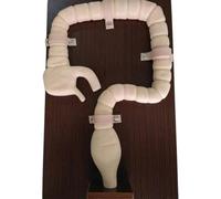 hocvseo Modello di Esame di Colonscopia, Modello Intestinale, Simulatore di Sigmoidoscopio Umano, Modello Didattico di Formazione Dimostrativa di Colonscopia, per L'insegnamento della Pratica Medica