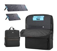 HODRANT Borsa portaoggetti per pannelli solari compatibile con Anker SOLIX PS100 PS200, custodia protettiva per 2 pannelli solari con tasche e manici, solo borsa
