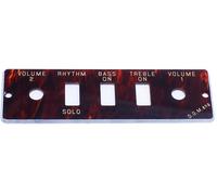 Höfner HA2B-T Tortoloid panel only