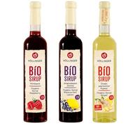 HÖLLINGER Bio Sirup Set, 3 Bottiglie da 500ml, Sciroppo Biologico ai Gusti Lampone, Ribes Nero con Limone e Zenzero, Rapporto di Diluizione 1:9