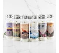 HOFER lumini per cimitero con motivo, 7 giorni di durata [Sehnsucht Select] - Set di 5 candele per condoglianze con coperchio, candele per decorazione tombale e decorazione tombale