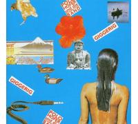 Hofer,Polo & die Schmetterband - Giggerig