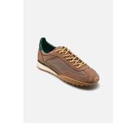 Hoff - BRIDGE MKII M Marrone - Sneakers 47 Marrone