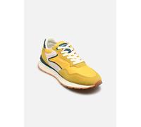 Hoff - CITY CHROMA Giallo - 36 Giallo
