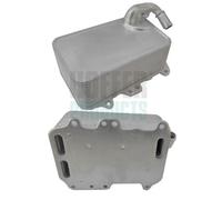 HOFFER Radiatore olio Olio motore AUDI 3,0 059117015P 059117021R