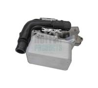 HOFFER Radiatore olio Olio motore per RENAULT OPEL NISSAN 2,3 2,0 8201005241