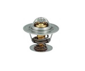 HOFFER Termostato refrigerante 8192211 89 °C con guarnizione