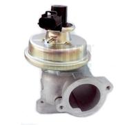 HOFFER Valvola EGR FORD 2,4 2,0 1417557 3C1Q9D475AA