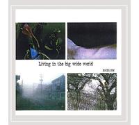 Hoffmann, Andi & B-Goes - Living In The Big Wide World