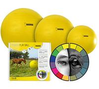 Hofman Maximus Power Play Ball - Giocattolo per cavalli - Giallo - 75 cm
