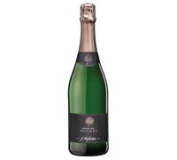 Hofstätter Michei 823 Trento DOC Brut Riserva 2018 0,75 ℓ