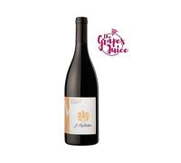 HOFSTATTER PINOT NERO MECZAN 2023 VINO ROSSO ALTO ADIGE DOC