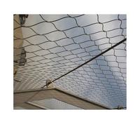 HOFUNTRE Rete Metallica Ispessita,Ampiamente Utilizzato Nella Sicurezza Industriale, Nella Protezione Degli Edifici, Negli Impianti Sportivi, Nell'allevamento Agricolo(20 * 1.5m/65.6 * 4.9ft)