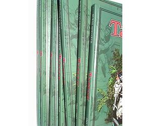 Hogarth Burne H Tarzan. Sonntagsseiten Bd, 1, 2, 3, 4, 5, 6, (Copertina rigida)