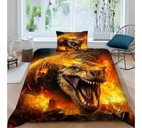 HOGDISAJD Dragone della Fiamma Reversibile Copripiumino fiamma Stampa 3D Biancheria Da Letto Cerniera E 1 Federe Ragazzi E Ragazze Single(135x200cm)