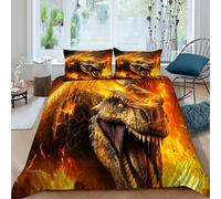 HOGDISAJD Dragone della Fiamma Reversibile Copripiumino fiamma Stampa 3D Set Di Biancheria Da Letto Morbida Microfibra Con Cerniera E 2 Federe Per Ragazzi E Ragazze Super King(260x220cm)