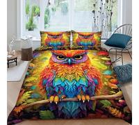 HOGDISAJD gufo Set Copripiumino Matrimoniale coloreeful Sky Effetto 3D Morbida Microfibra Set Di Biancheria Da Letto Con Chiusura Lampo E 2 Federe Ragazzi E Ragazze Super King（260x220cm）