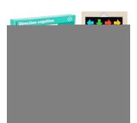 Hogvinnatil Puzzle di Orientamento,Legno con Riconoscimento Colori | Gioco educativo da tavolo per lo sviluppo cognitivo che stimola il cervello e combina forme per