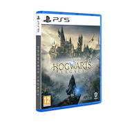 Warner Bros Hogwarts Legacy Standard