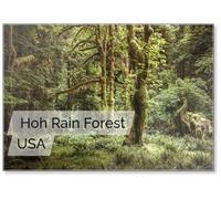 Hoh Rain Forest, Olympic National Park, Washington, USA, design 1, magnete per frigorifero