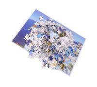 Hohopeti 1000 Puzzle per Adulti e Rompicapo Intelligente con Paesaggio Marittimo Giocattolo Antistress per Ragazzi e Ragazze Set Completo per Sviluppo Cognitivo e Divertimento