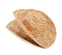 Hohopeti 2 Pezzi Mini Cowboy Hats For Dolls And Small Pets Miniature Western Style Hats For Crafts Photo Props And Party Decorations Easy To Clean Mini Dollhouse Accessories