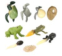 Hohopeti 2 set Modelli Animali Evoluzione per Figure Solidali di Tartaruga e Anfibi in Diversi Stadi di Crescita Giocattoli Educativi Sicuri e Resistenti per Apprendimento Interattivo