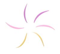 Hohopeti 6 paia Silicone Perm Pads per Ciglia Riutilizzabili Tamponi Sollevamento e Laminazione Ciglia Strumento Trucco Professionale Antiallergico per Uso Salone e Casa