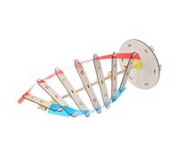 Hohopeti Doppia Spirale del DNA in Plastica per Apprendimento Scientifico Kit Didattico Molecolare Giocattolo Educativo per Studio Genetica e Biologia