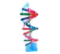 Hohopeti Gene Aids Della Struttura Della Doppia Del Dna Scientifico Scienza Giocattolo Biologia Del Dna Strutturale