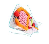 Hohopeti Grembiule Didattico Con Organi Rimovibili Per Ragazzo Ragazza Strumento Educativo Interattivo Per Asilo e Scuola Dell'infanzia Grembiule in Poliestere Per Apprendimento Anatomia Co