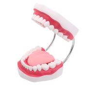 Hohopeti Per La Formazione Del Modello Della Bocca Denti Protesi Dentarie Dimostrazioni Dentistiche E Finti - Preparazione Dei Tecnici Fai Da Te Esame